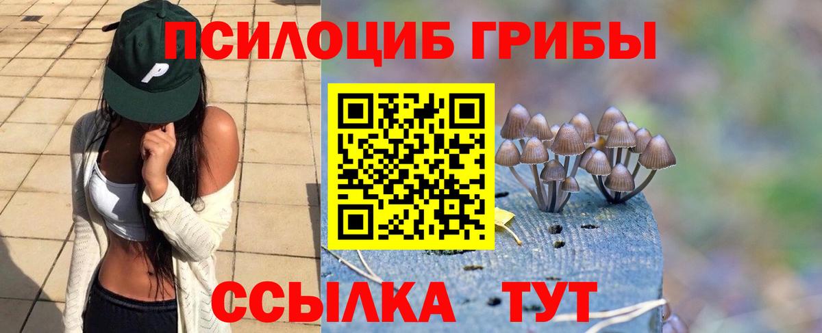 Сургут  Галлюциногенные грибы Psilocybe  Псилоцибиновые грибы Magic Shrooms  Вход с VPN 